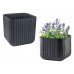 KETER CUBE PLANTER L Blumentopf, 39,5 x 39,5 x 39,5 cm, anthrazit 17201220