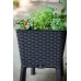 KETER EASY GROW 120L Hochbeet/Pflanzkasten, braun 17194592