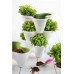 KETER IVY PLANTER Blumentopf, weiß/grün 17196813