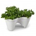 KETER IVY PLANTER Blumentopf, weiß/grün 17196813