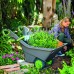 KETER REALBARROW 100L Gartenschubkarre, grau 17186746