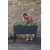 KETER FULL BLOOM 120L Hochbeet/Pflanzkasten 114 x 49,3 x 75,7 cm, anthrazit 17210614