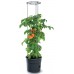 Prosperplast TOMATO GROWER Tomato pot, 39,2 cm, antrazit IPOM400
