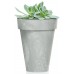 Prosperplast CUBE SLIM BETON Effect Blumentopf 35,5cm, 12l, grau DCUS355E-422U