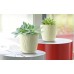 Prosperplast SANDY P Blumentopf mit Untersetzer 18,8 cm, mocca DSY190P-7529U