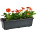 PLASTKON Bewässerungssystem Blumenkasten Smart System Fantazie 60 cm anthrazit