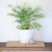 PROSPERPLAST Blumentopf Dreieck Serie COUBI 10 l creme glänzend DTG320