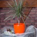 PROSPERPLAST COUBI Blumentopf 23 cm, orange DUO230-R200