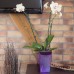 Blumentopf Übertopf URBI SQUARE P Orchideentopf 2L, schwarz DURS125P