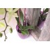 PROSPERPLAST COUBI Orchideentopf 1,5l, violett DUOW130T-CR91G