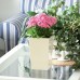 Pflanzkübel COUBI Blumentopf Pflanzbehälter mit Einsatz viereckig 10l, creme DUW200