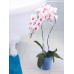 PROSPERPLAST COUBI Orchideentopf 1,5l limettegrün DUOW130P