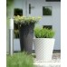Prosperplast MATUBA Blumentopf 60x59,1cm antrazit DBMA600-S433