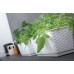 Prosperplast RATOLLA CASE P Blumenkasten mit Untersetzer 48,9x17,3x15cm umbra ISR500P-440U