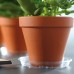 PROSPERPLAST COUBI Untersatz 21x3cm PPC210-CS99G