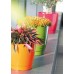 Prosperplast du­op180-r200 18 x 16,5 cm"Cou­bi" Blumentopf - orange