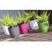 Prosperplast COUBI ROUND P Blumentopf, 18 cm, 2,8l, Graphit DUOP180
