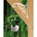 PROSPERPLAST Wandblumenhalter 20 x 23 cm AKANT terakkotta IWA-R624