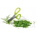 Prosperplast HERBS CUT Schere 13cm, Grün ICUT1-389U