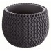Prosperplast SPLOFY Bowl Blumentopf 29cm, 3,9l, anthrazit DKSP290-S433