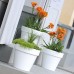 PROSPERPLAST LOFLY Pflanzkübel Übertopf rund 1L himbeere DLOF135-207C
