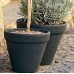 Prosperplast CLASSIC Blumentopf 30x26cm mocca DBC30-7529U