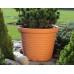 PROSPERPLAST Blumentopf Vera 9l DOV30 terracotta