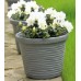 PROSPERPLAST Blumentopf Vera 9l DOV30 anthrazit