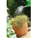 Blumenkasten Pflanztopf, Pflanzkübel VERONETTA 28 L anthrazit DEV50