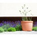 Blumenkasten Pflanztopf, Pflanzkübel VERONETTA 28 L anthrazit DEV50