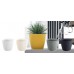 Prosperplast WHEATY Blumentopf 18,9 cm, steingrau DWH190-405U