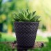 Prosperplast MATUBA Blumentopf 60x59,1cm antrazit DBMA600-S433