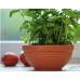 PROSPERPLAST MISA Blumenschale 38 L graphit DMS12