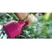 Prosperplast SPRY Sprinkler 0,6l lime ISO06-389U