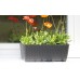 Prosperplast RATOLLA CASE Blumenkasten 39,1x17,3x14,5cm anthrazit ISR400-S433