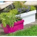 Prosperplast CUBE CASE Blumenkasten 39,2x18,2x16cm weiß DCUC400-S449