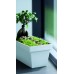Prosperplast CUBE CASE Blumenkasten 39,2x18,2x16cm weiß DCUC400-S449
