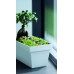 Prosperplast CUBE CASE Blumenkasten 39,2x18,2x16cm, Anthrazit DCUC400