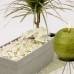 PROSPERPLAST CUBE CASE Blumenkasten Balkonkasten 25 L grau Optik Beton DCUC600
