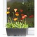 Prosperplast RATO CASE Blumenkasten+Wasserstandanzeiger 60x25x24cm antrazit DRTC600-S433