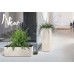 Prosperplast URBI CASE BETON Effect Blumenkasten, 58cm, Beige DUC600TE