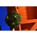 SHARKS LED-Solar Buxus SA035