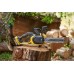 Stanley SFMCCS730M1 FatMax V20 Akku-Kettensäge 30cm (18V/1x4,0Ah)