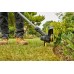 Stanley SFMCST925B-XJ FatMax V20 Akku-Rasentrimmer (25cm/18V/Akku und Ladegerät)