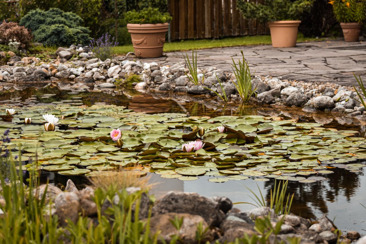 Mini-Teich im Garten anlegen
